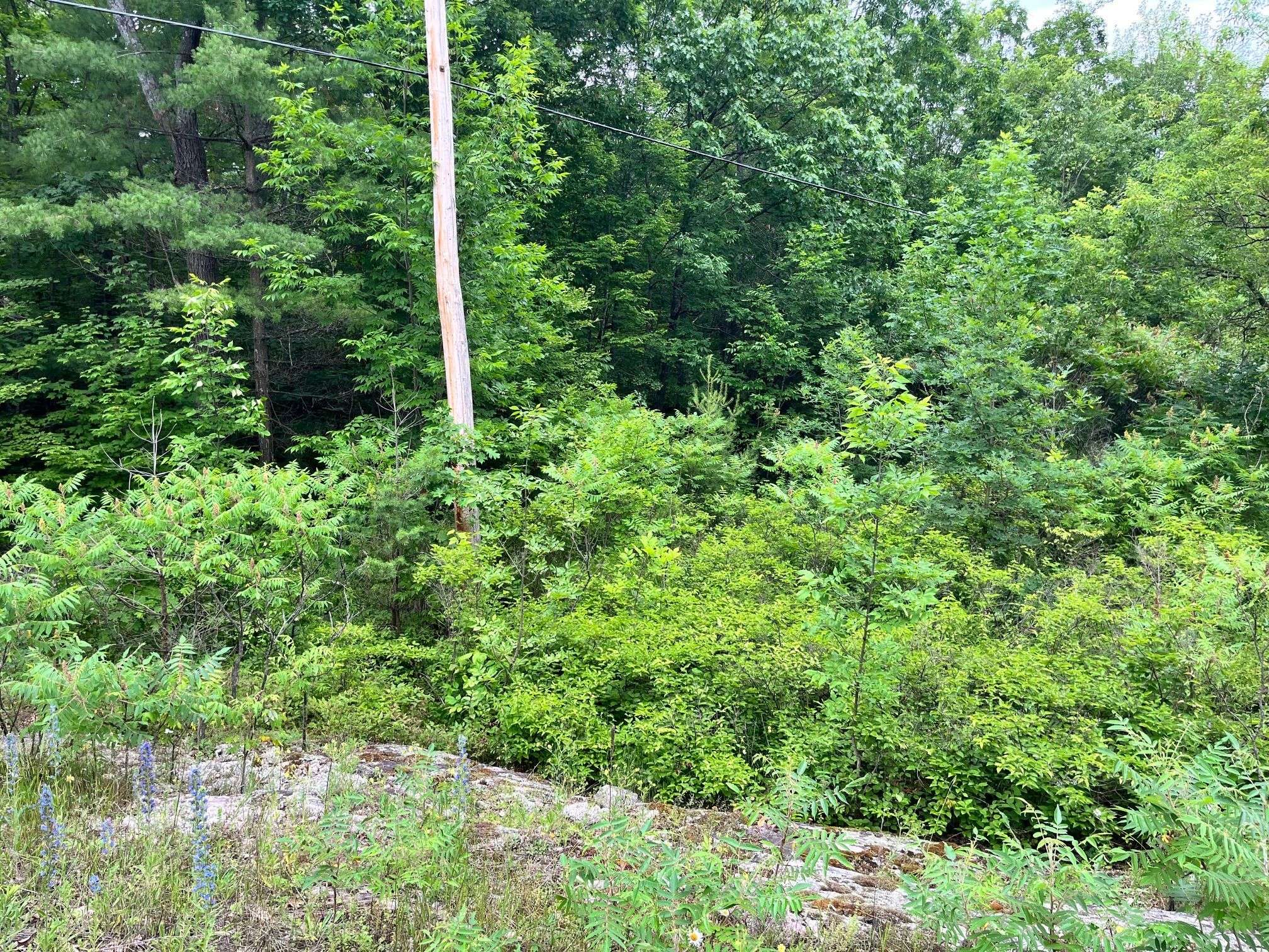 Tweed, ON K0K 3J0,0 (PIN - 40264-0091) Potter Settlement RD