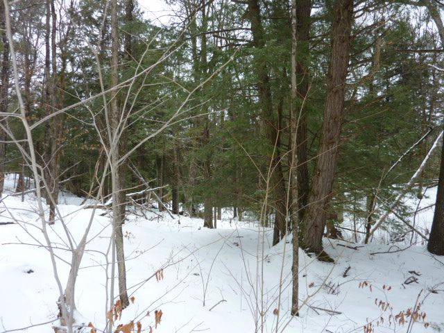 Frontenac, ON K0H 2E0,1265 West End LN