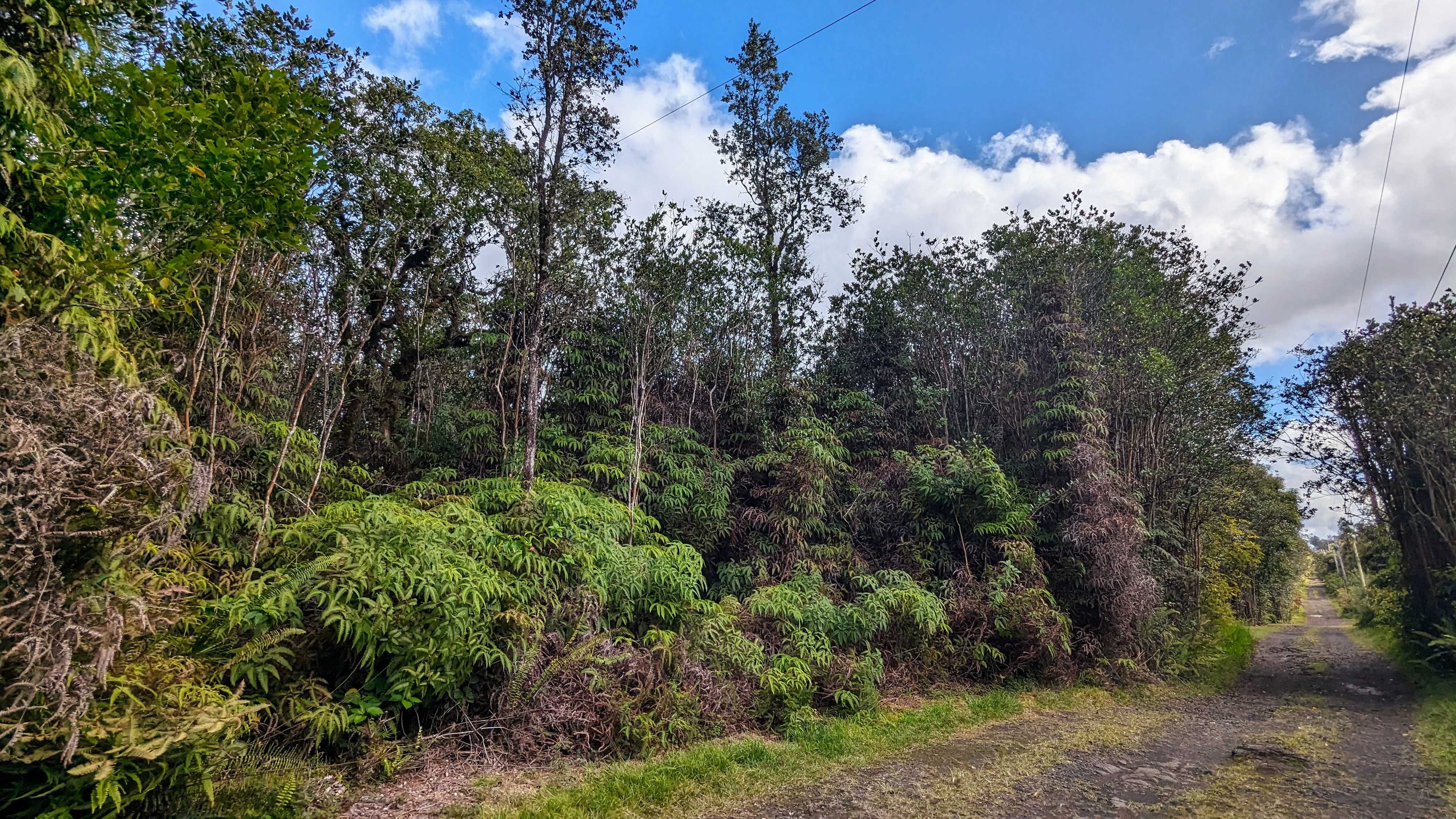 Mountain View, HI 96749,16-1395 ROAD 5 (UAU)