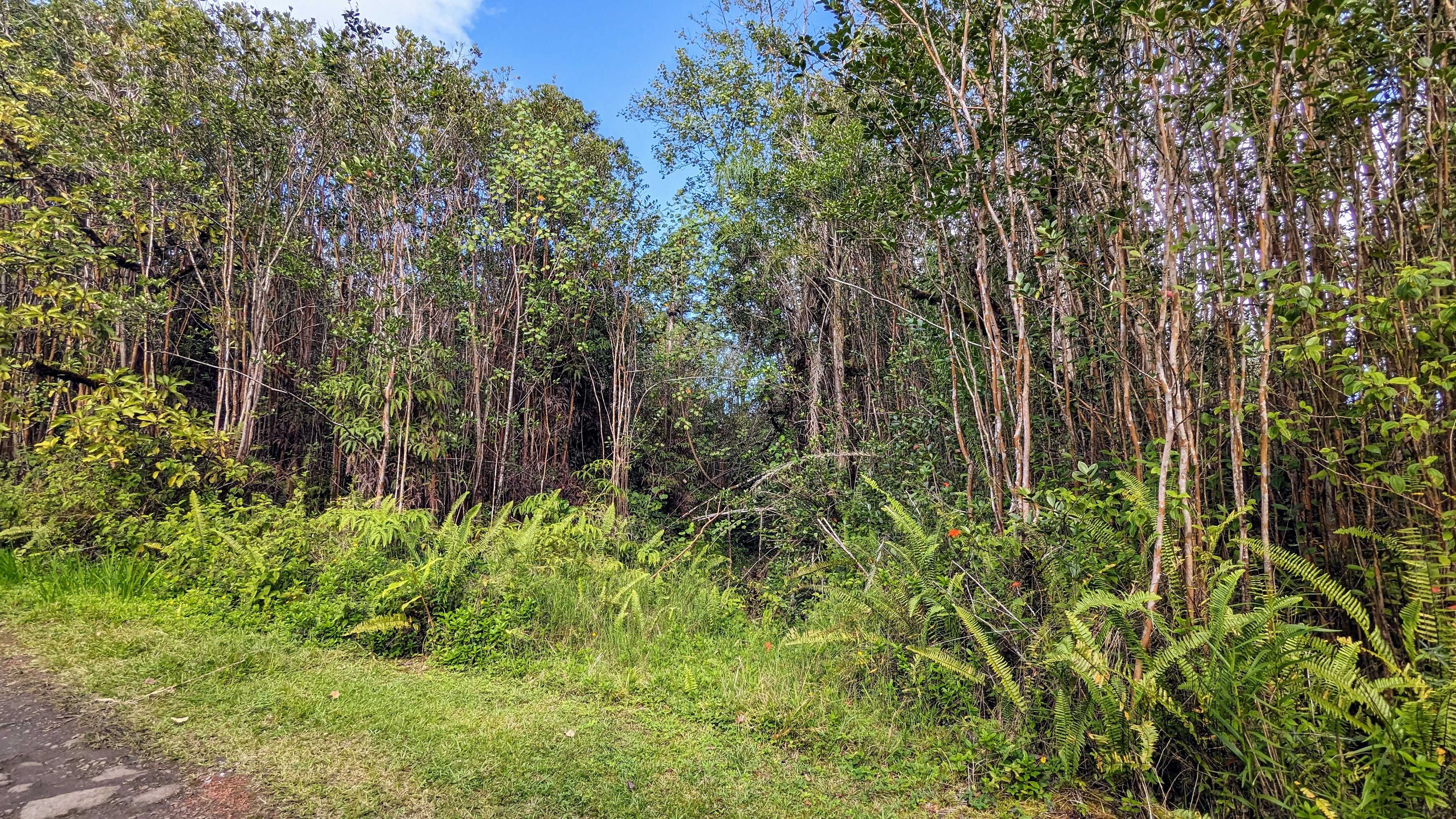 Mountain View, HI 96749,16-1395 ROAD 5 (UAU)