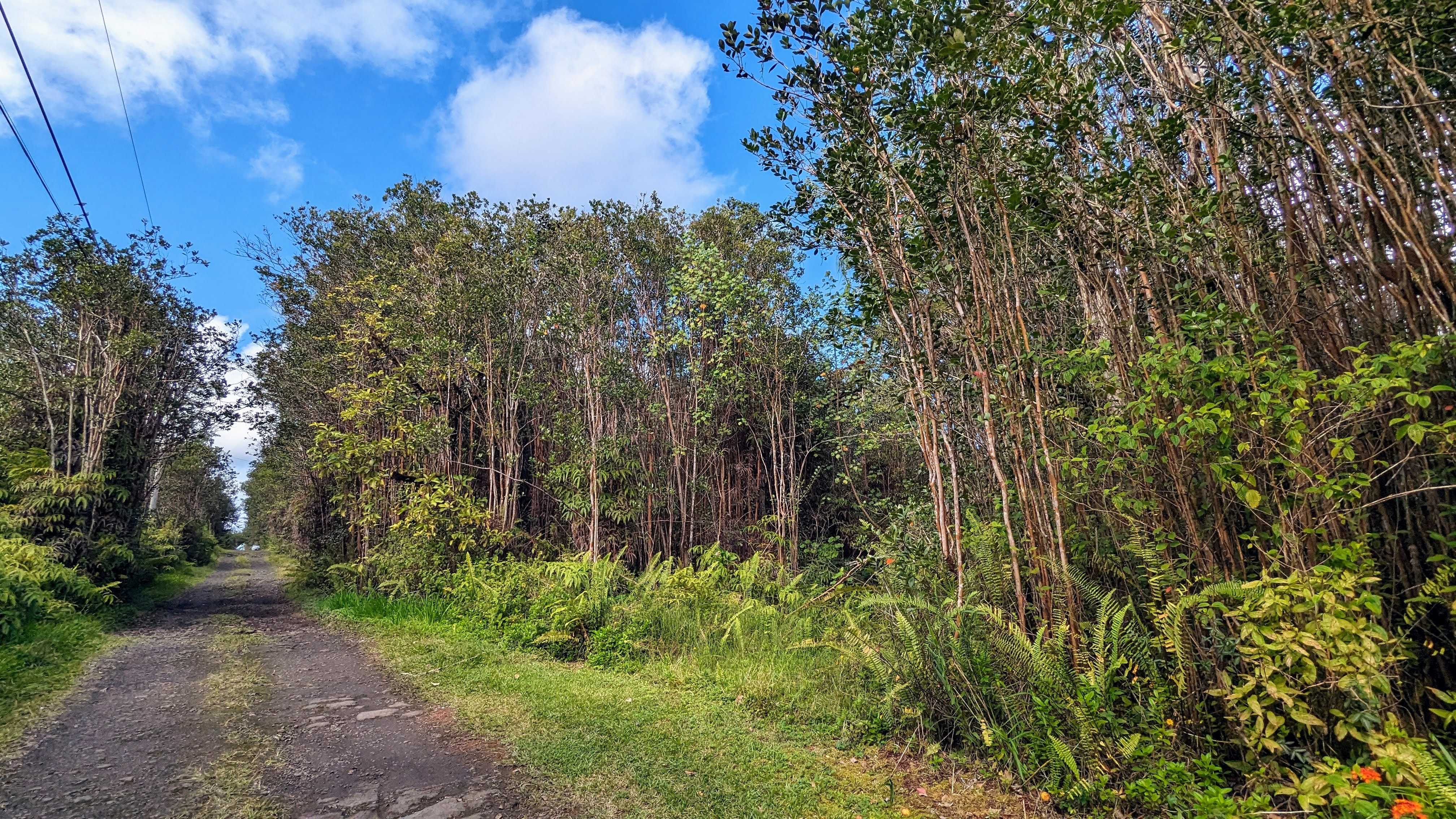 Mountain View, HI 96749,16-1395 ROAD 5 (UAU)