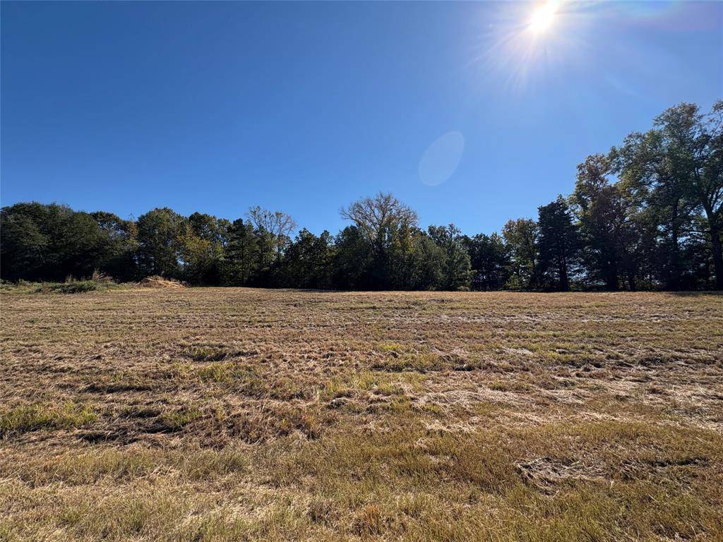 Frankston, TX 75763,0 State Highway 155