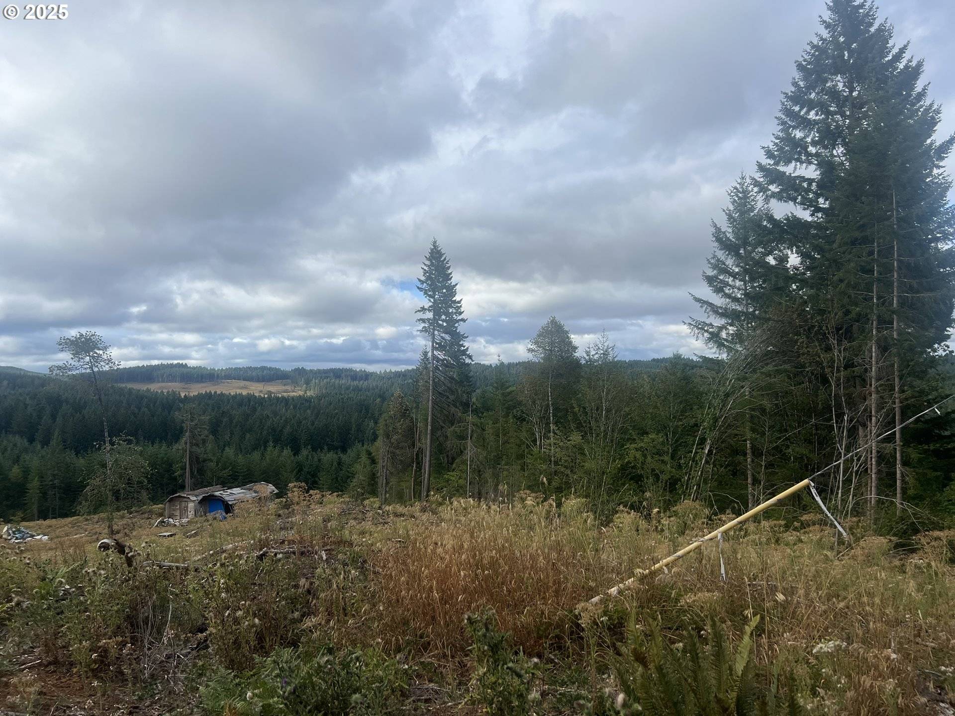 Elmira, OR 97437,89975 SHEFFLER RD