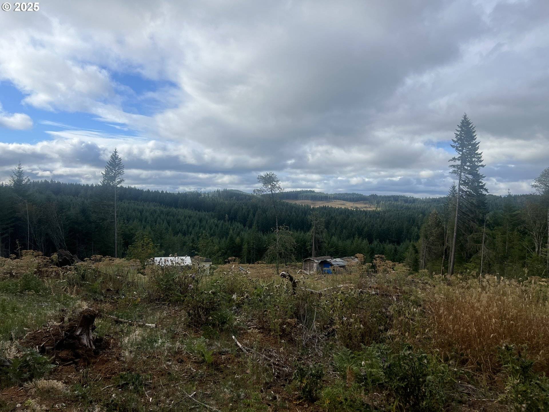 Elmira, OR 97437,89975 SHEFFLER RD