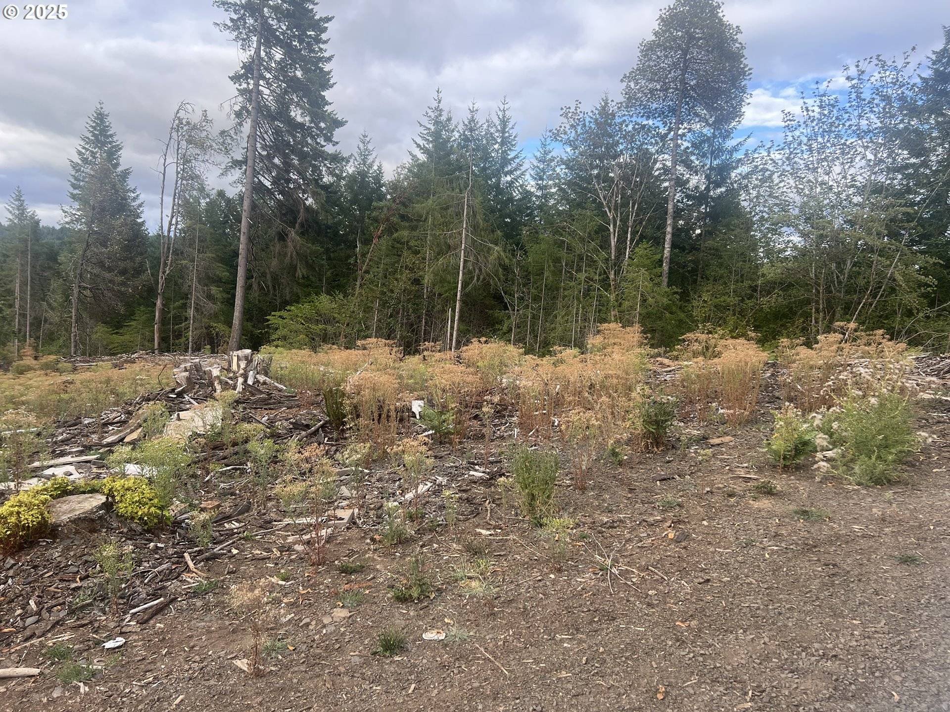 Elmira, OR 97437,89975 SHEFFLER RD