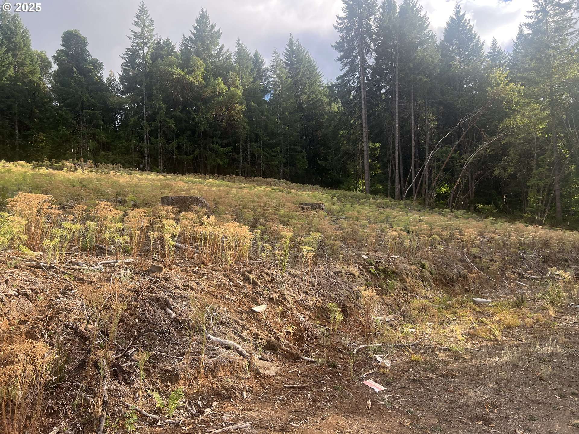 Elmira, OR 97437,89975 SHEFFLER RD