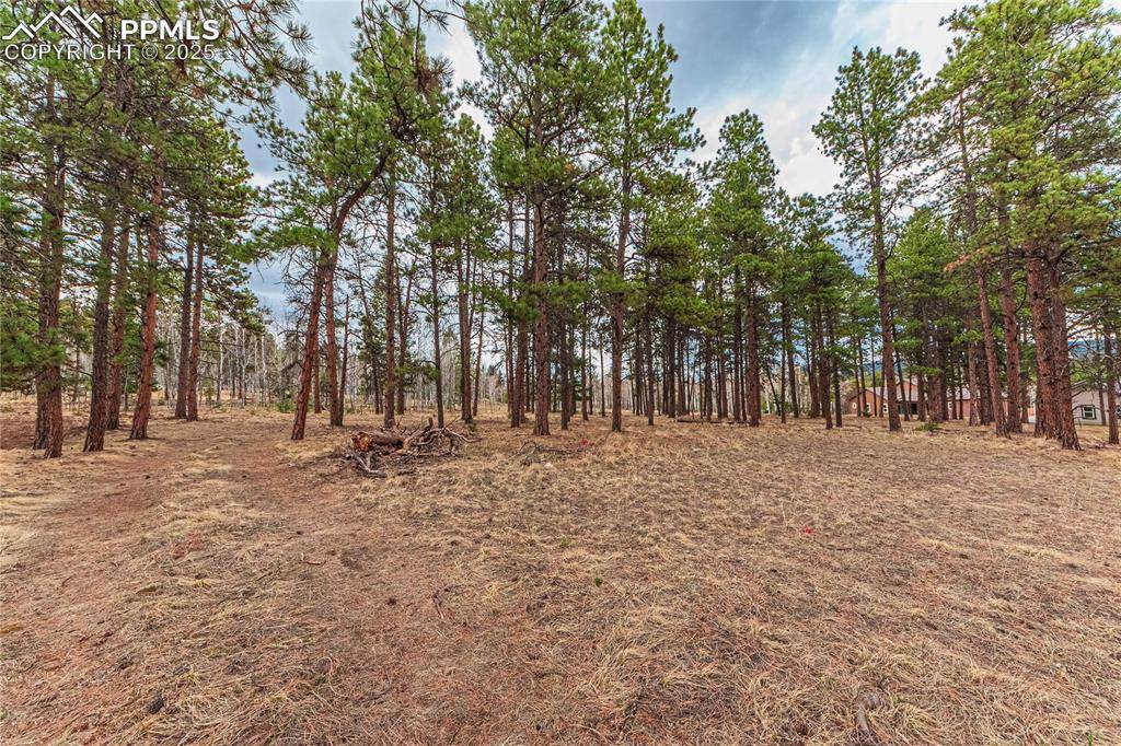 Woodland Park, CO 80863,1290 Firestone DR