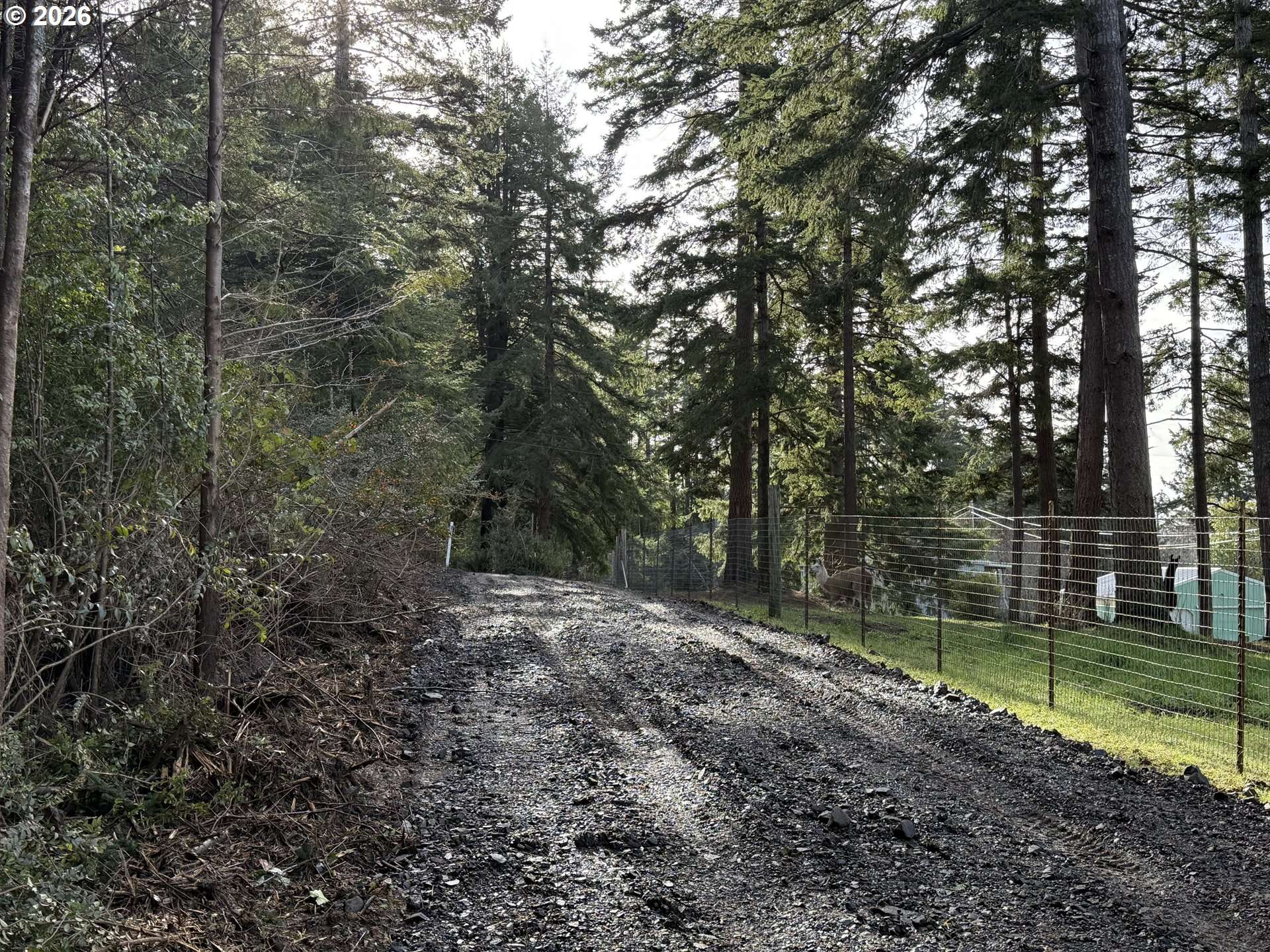 Port Orford, OR 97465,AVERILL HILL RD