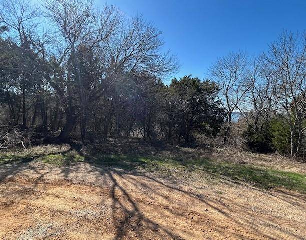Whitney, TX 76692,1272 Paint Brush Court