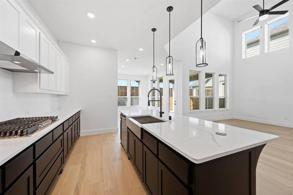 Oak Point, TX 75068,4319 Blackberry Lane