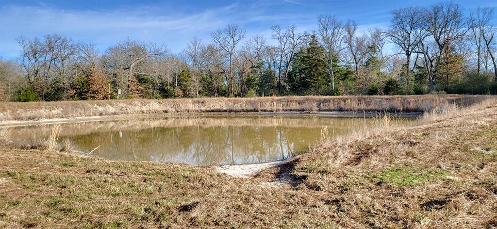 Pickton, TX 75471,1191 County Road 2420