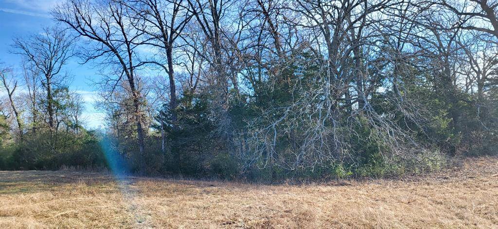 Pickton, TX 75471,1191 County Road 2420