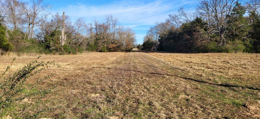 Pickton, TX 75471,1191 County Road 2420