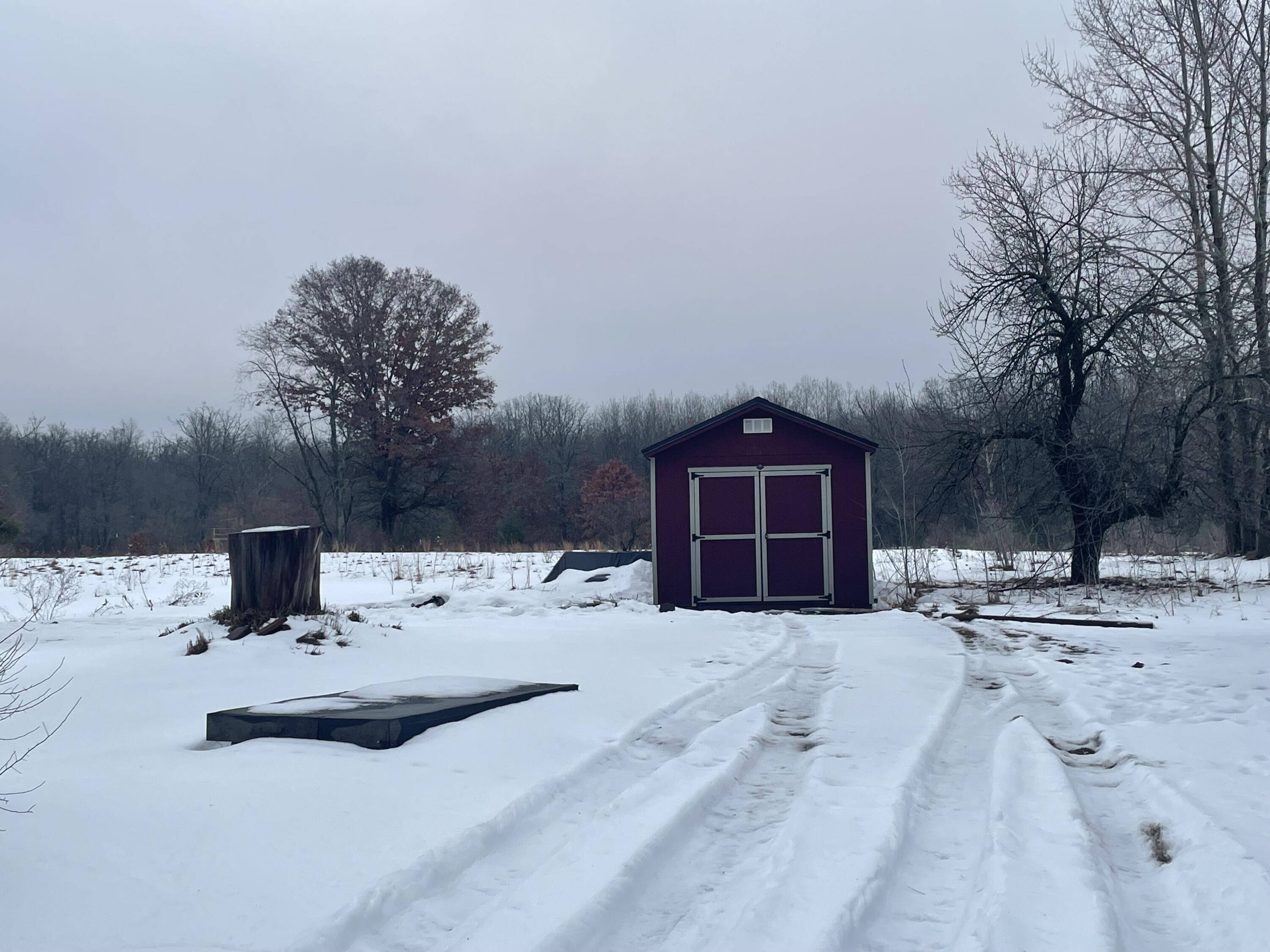 White Cloud, MI 49349,5942 N Woodbridge RD