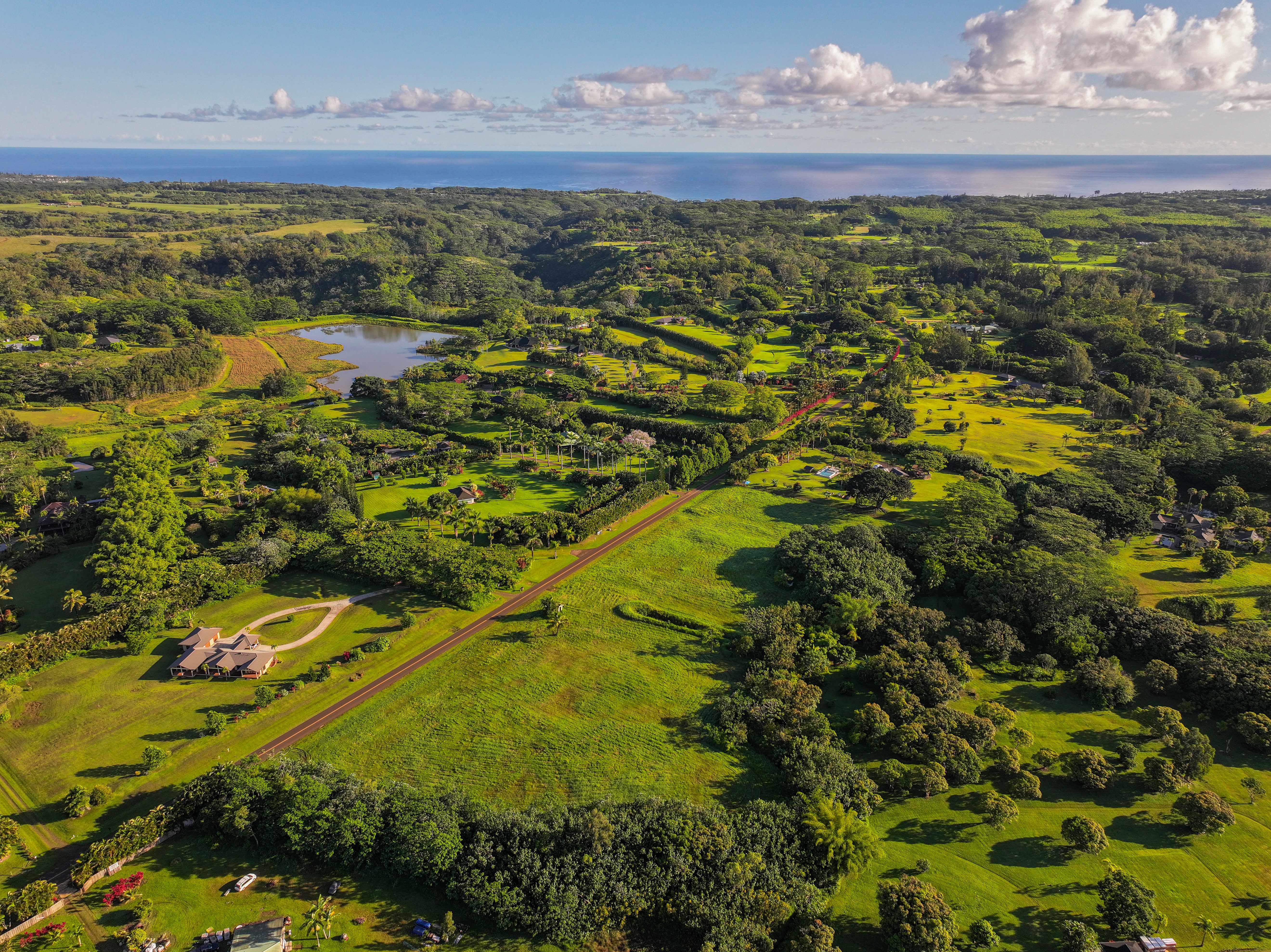 5835 KAHILIHOLO RD #4, Kilauea, HI 96722