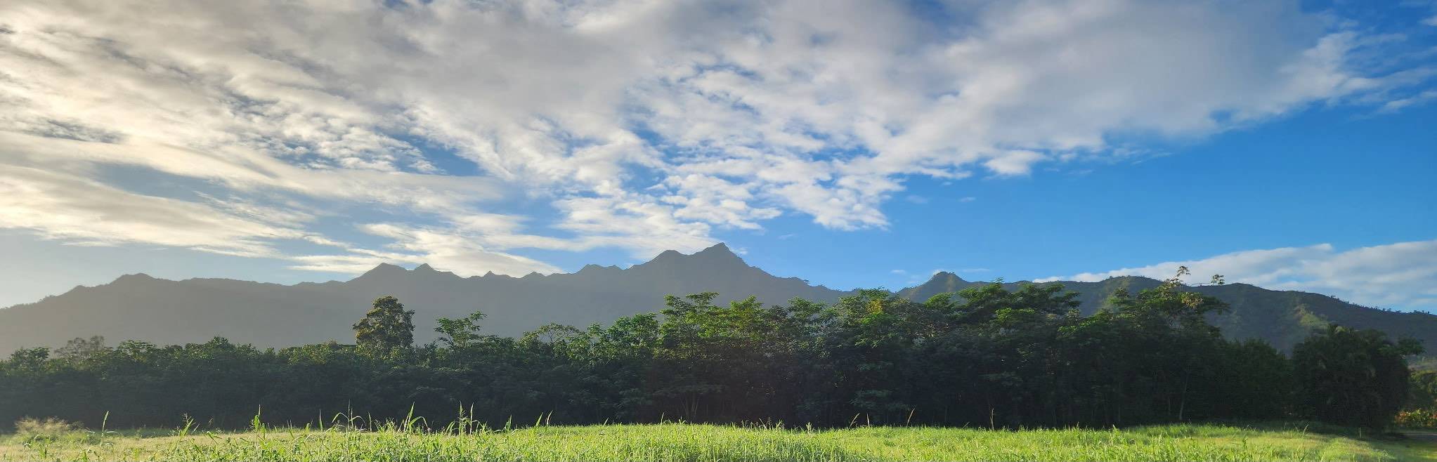 5835 KAHILIHOLO RD #4, Kilauea, HI 96722
