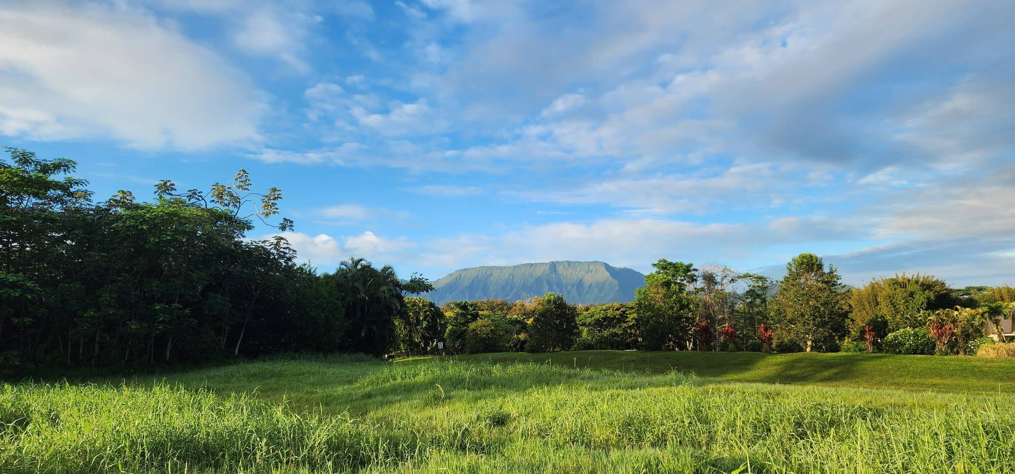 5835 KAHILIHOLO RD #4, Kilauea, HI 96722