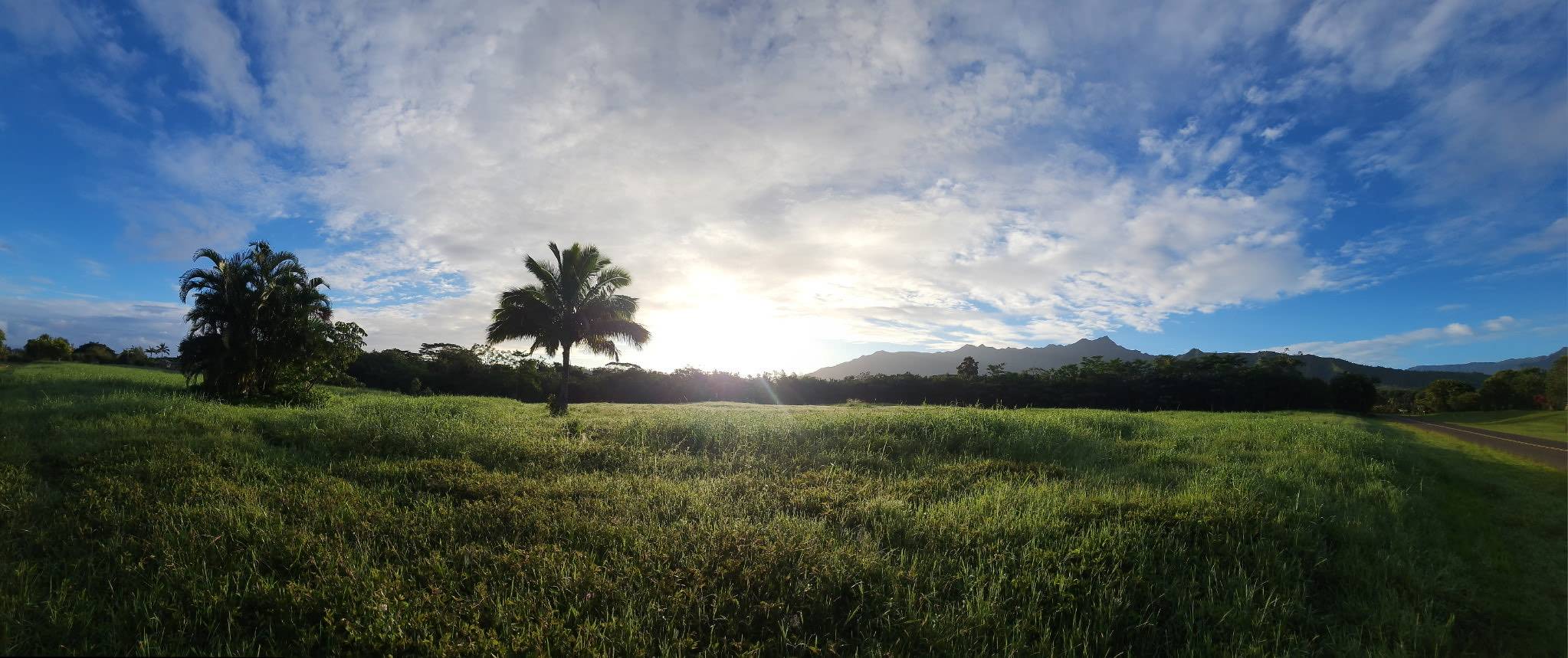 5835 KAHILIHOLO RD #4, Kilauea, HI 96722