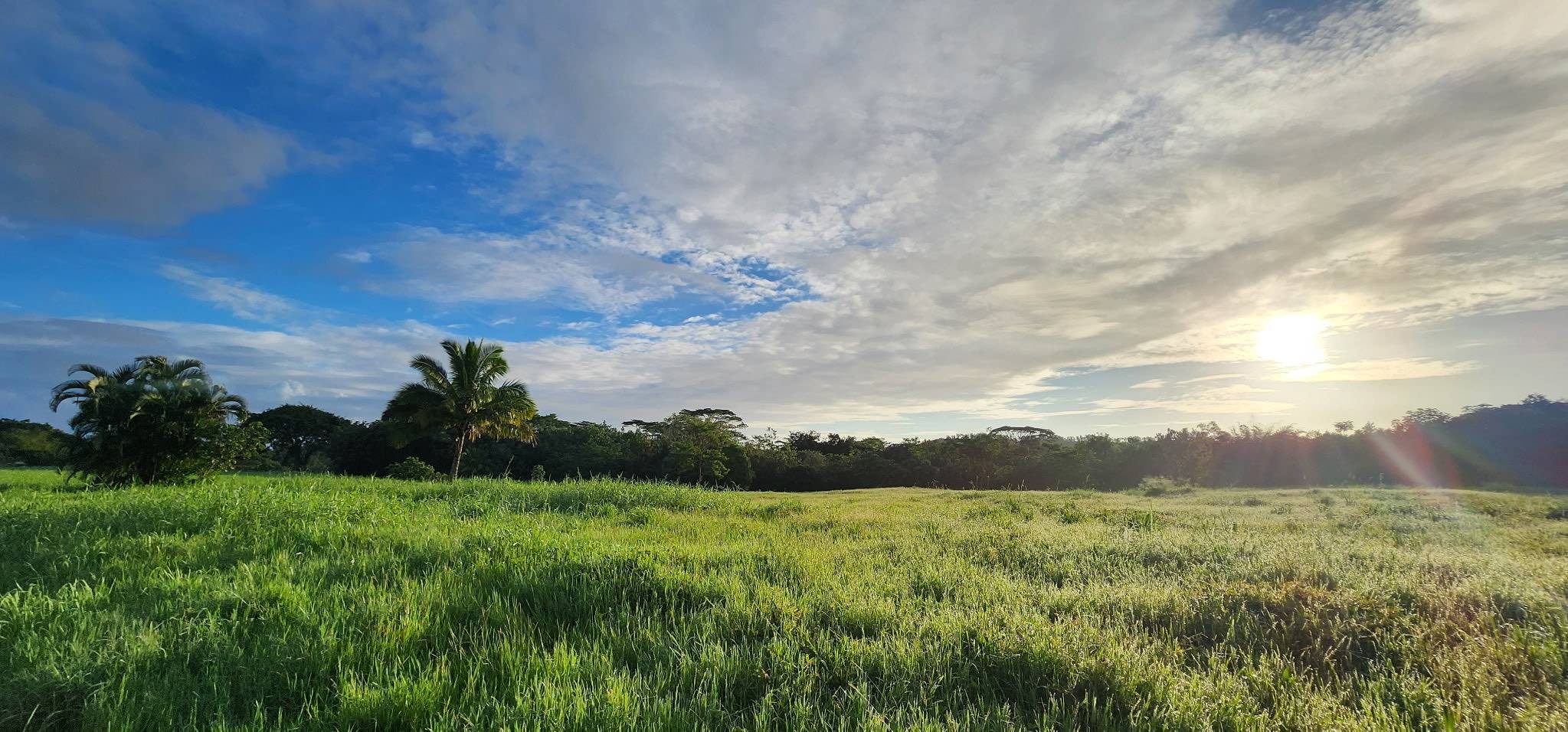 5835 KAHILIHOLO RD #4, Kilauea, HI 96722