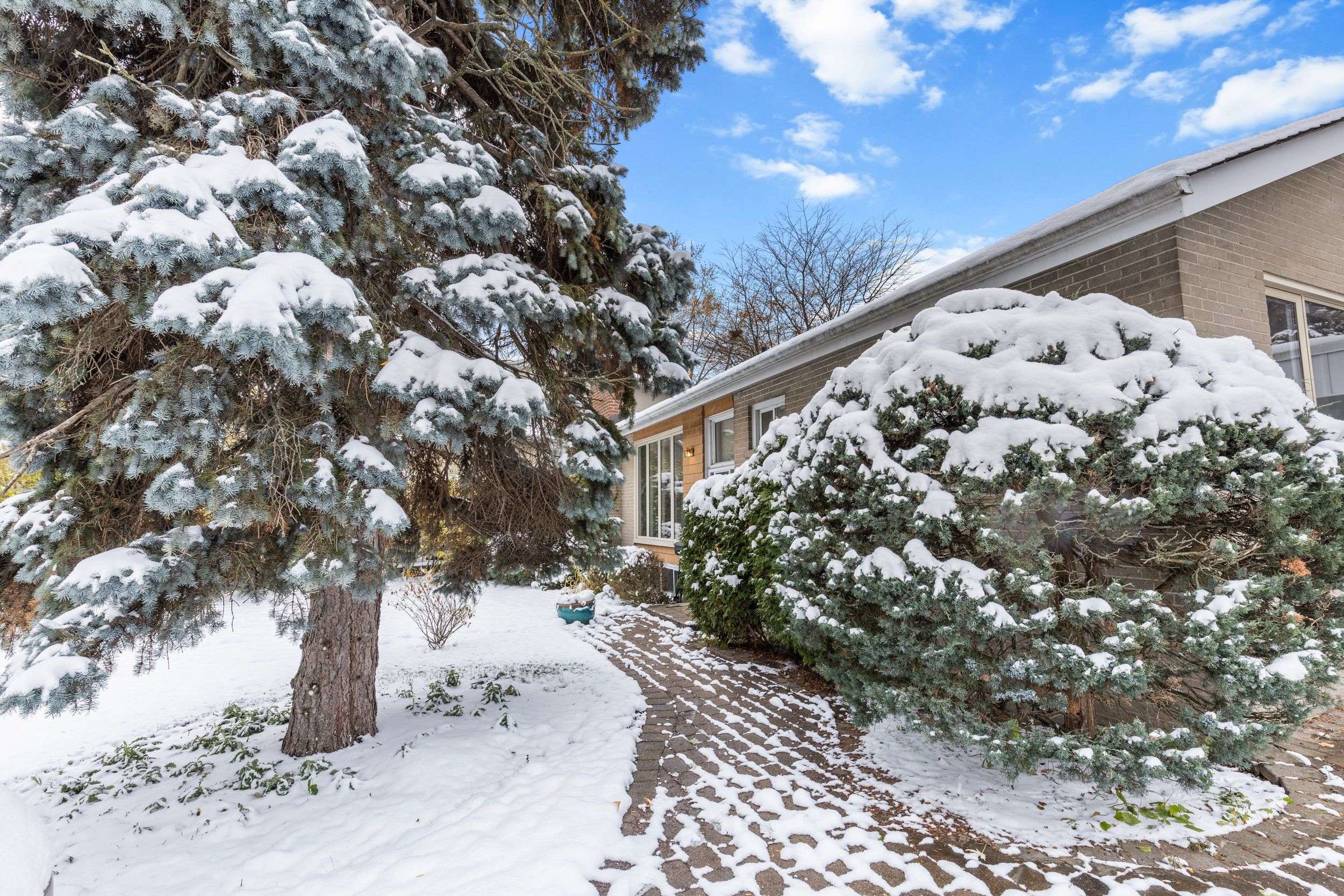 Toronto C13, ON M3B 1S7,11 Merredin PL