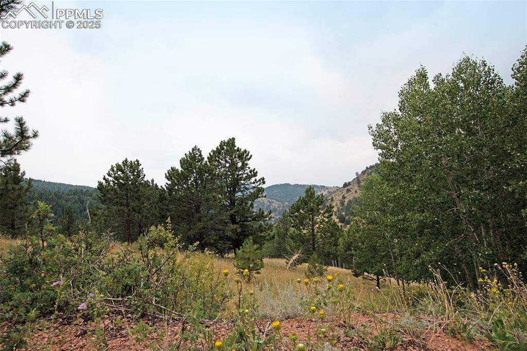 Cripple Creek, CO 80813,726 Copper Mountain DR