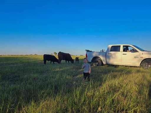 Gatesville, TX 76528,4321 County Road 220