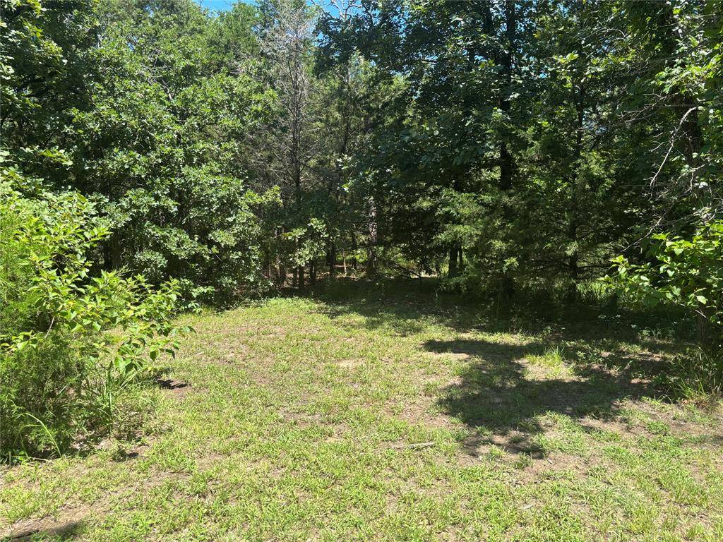 Quinlan, TX 75474,6570A County Road 2297