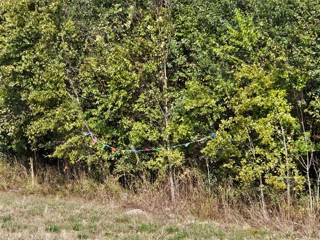 Eustace, TX 75124,0 U S HWY 175