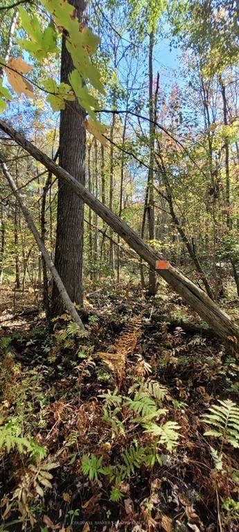 Drummond/north Elmsley, ON K7H 3C7,PT/Lot 21 Concession 3 RD