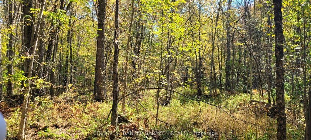 Drummond/north Elmsley, ON K7H 3C7,PT/Lot 21 Concession 3 RD