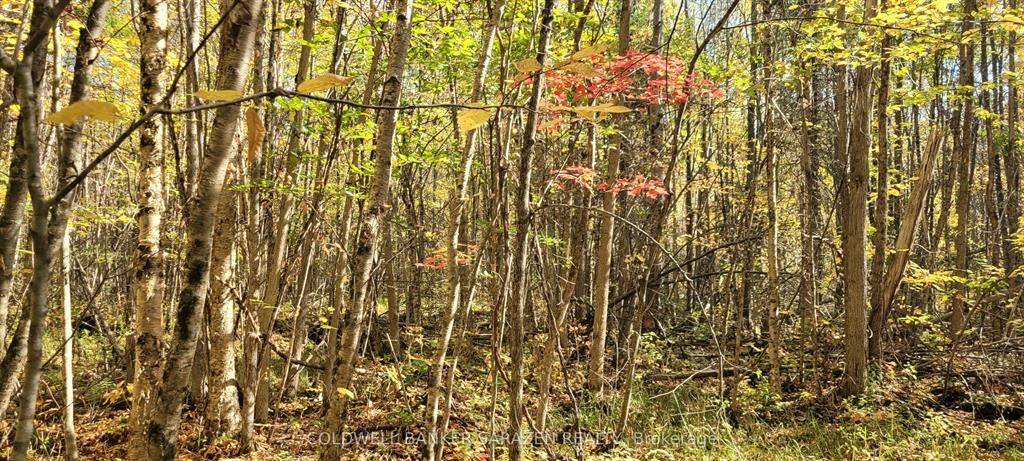 Drummond/north Elmsley, ON K7H 3C7,PT/Lot 21 Concession 3 RD