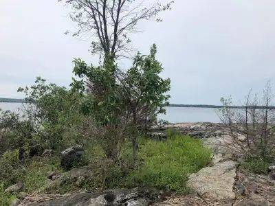 Georgian Bay, ON L0K 1S0,70 Georgian Bay IS