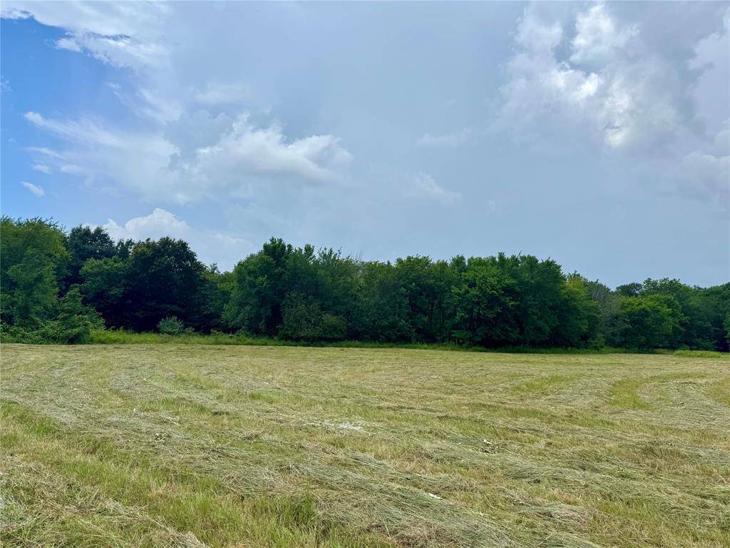 Celeste, TX 75423,0 County Rd 1110