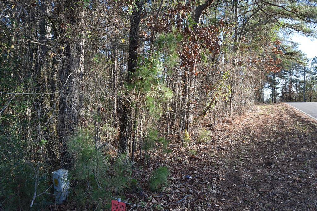 Minden, LA 71055,Lot # 21 Timberline Drive