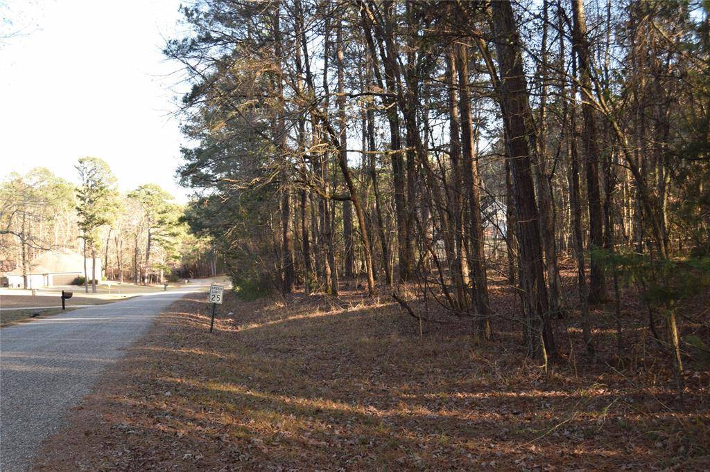 Minden, LA 71055,Lot #41 Timberlane Drive