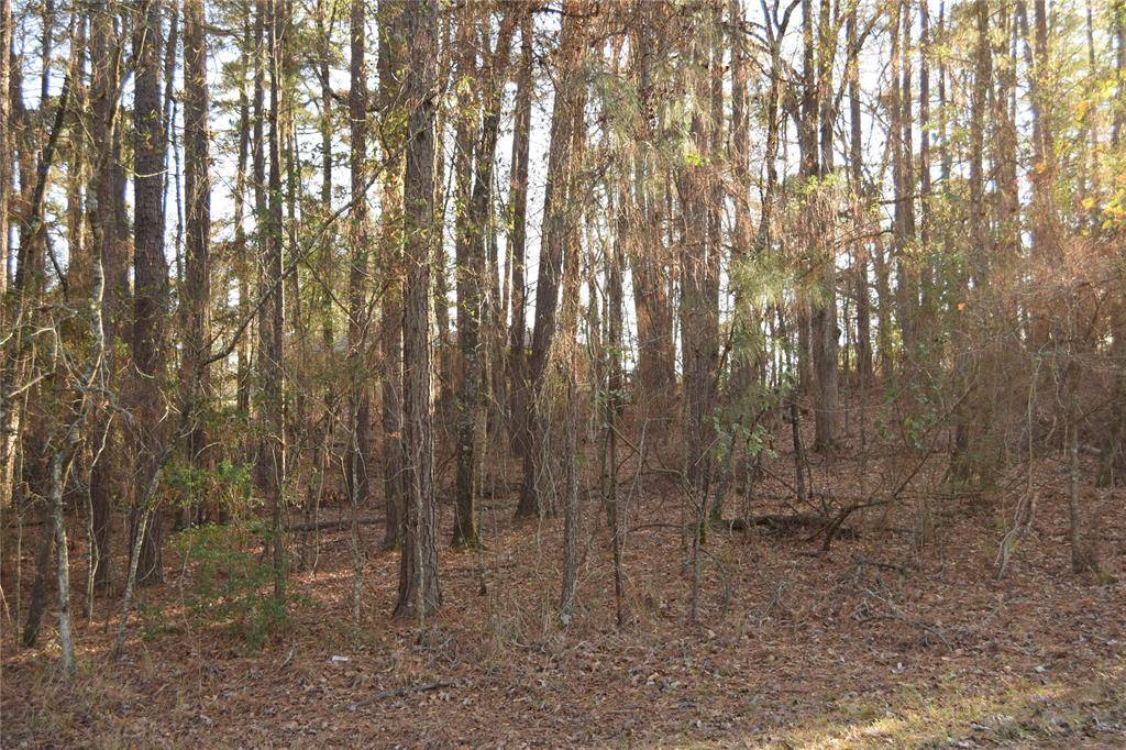 Minden, LA 71055,Lot #41 Timberlane Drive