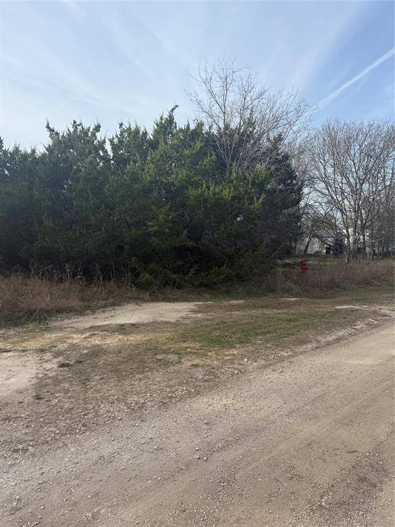 Morgans Point Resort, TX 76513,58 Bramble Bush Drive