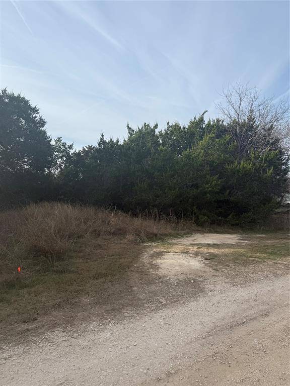 Morgans Point Resort, TX 76513,58 Bramble Bush Drive