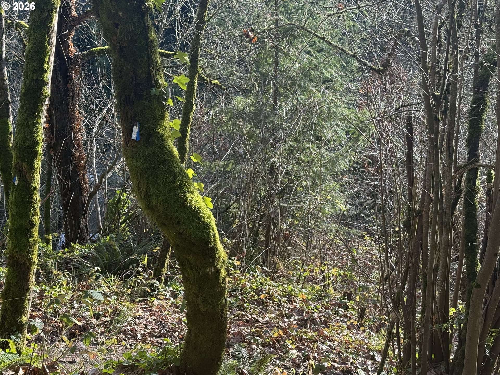 Portland, OR 97201,0 SW BROADWAY DR