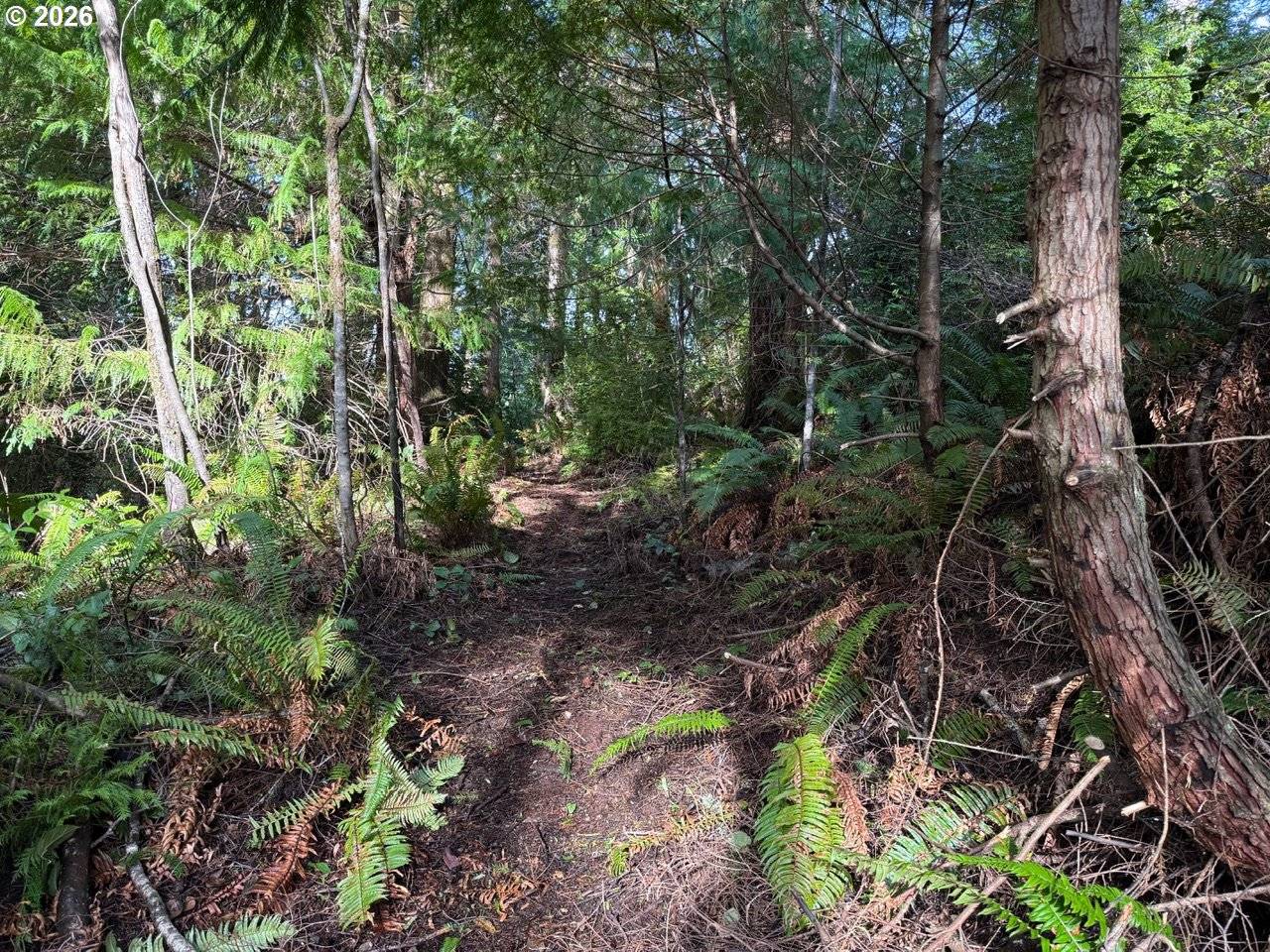 Port Orford, OR 97465,AVERILL HILL RD