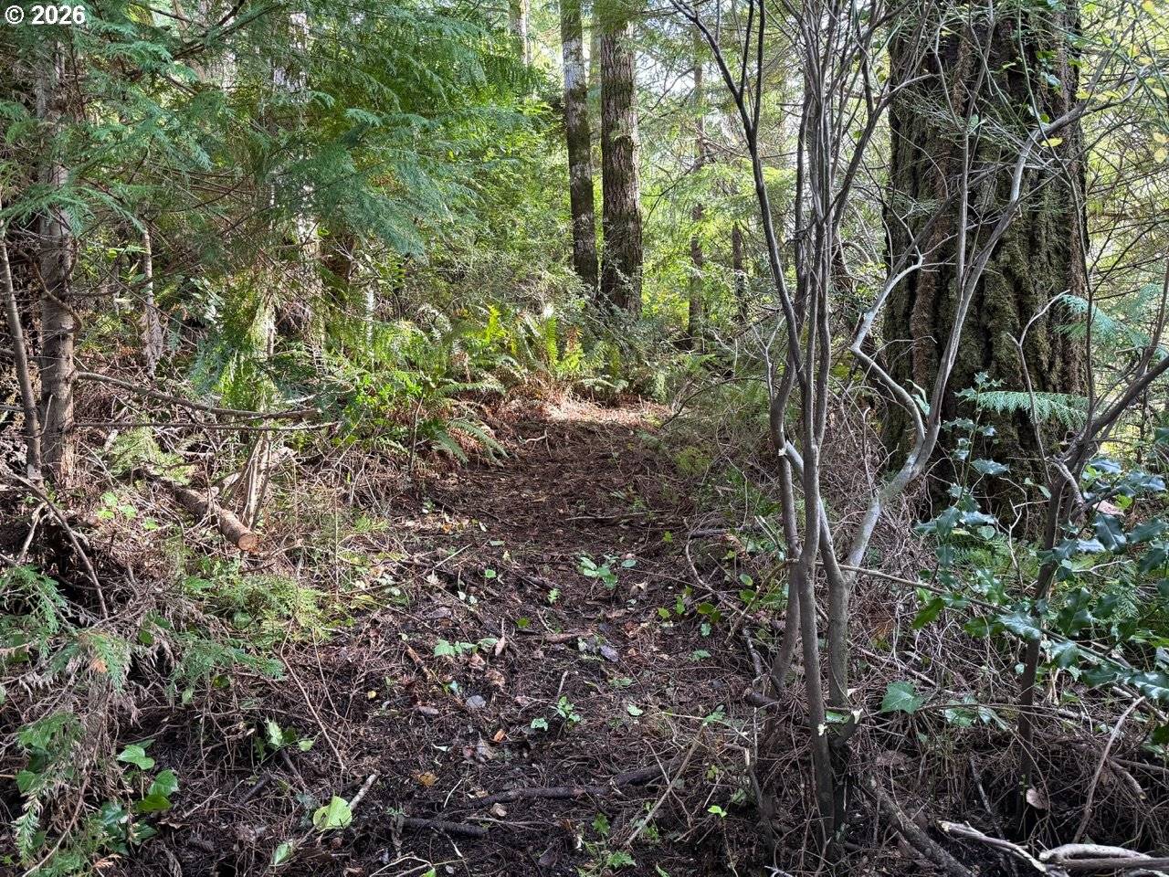 Port Orford, OR 97465,AVERILL HILL RD