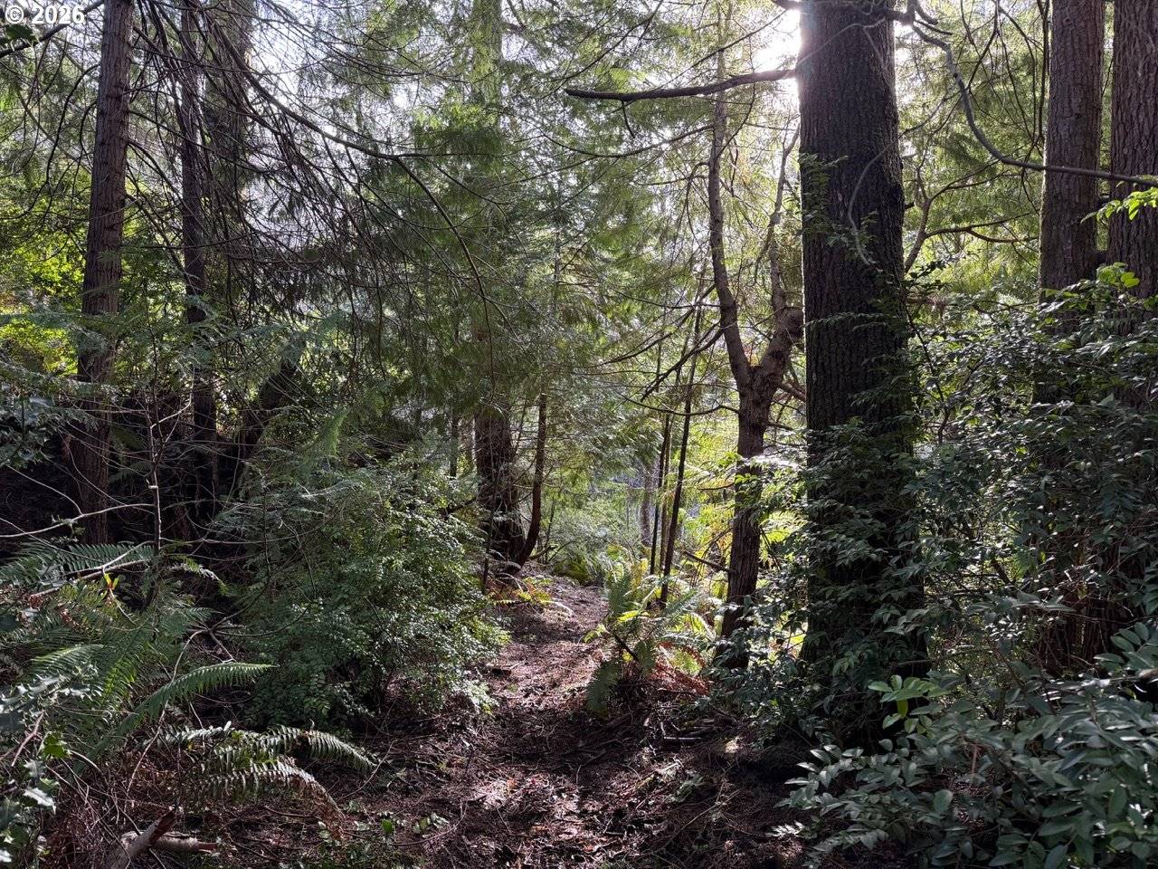 Port Orford, OR 97465,AVERILL HILL RD