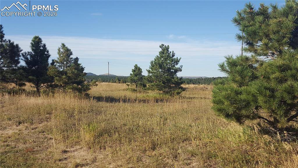 Monument, CO 80132,16935 Oldborough HTS