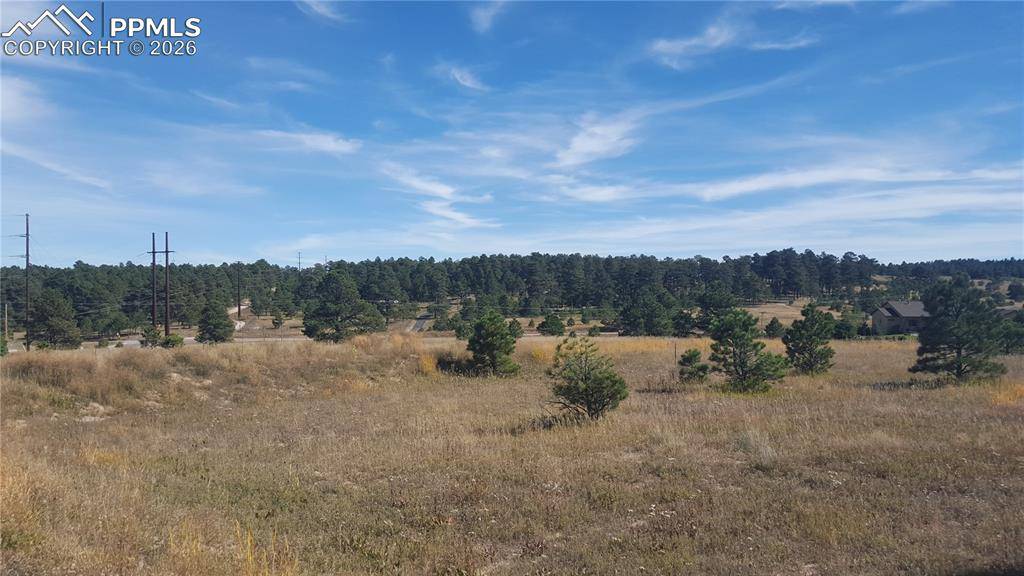 Monument, CO 80132,16935 Oldborough HTS