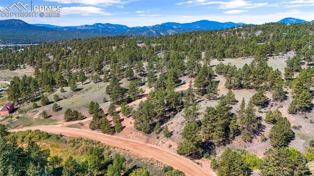 Florissant, CO 80816,163 Valley View DR