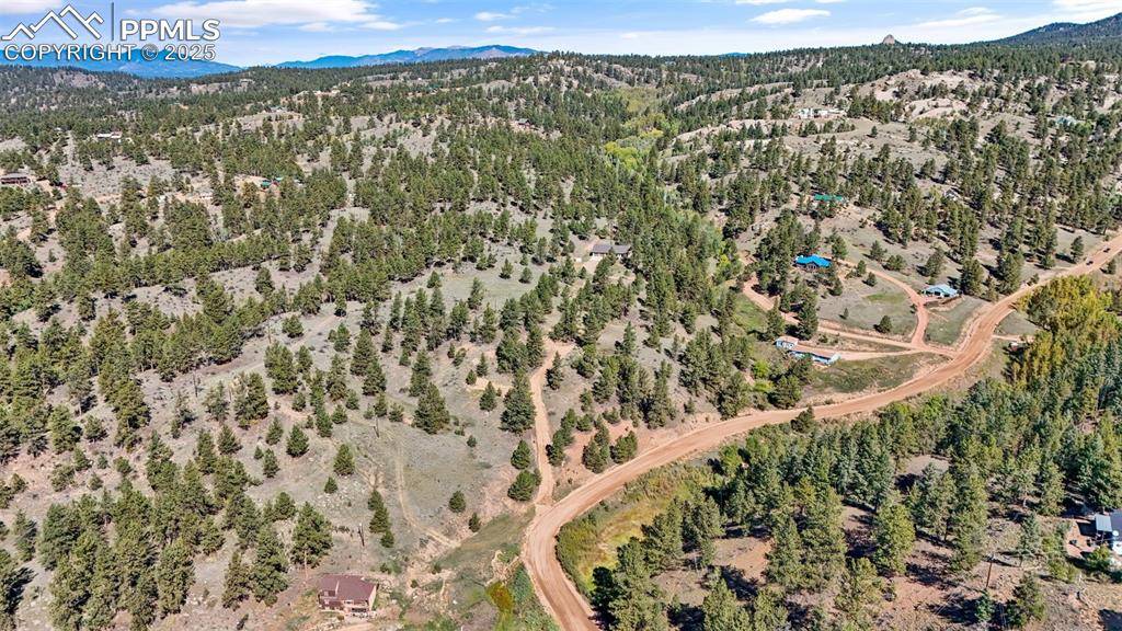 Florissant, CO 80816,163 Valley View DR