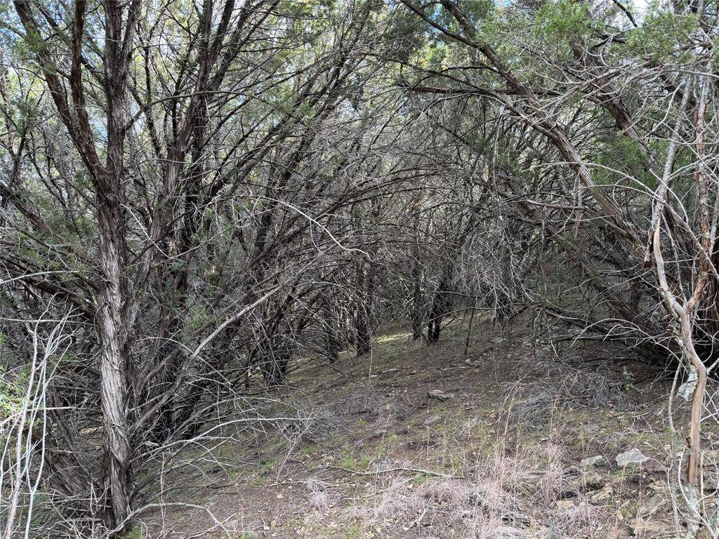 Graford, TX 76449,1070 Enchanted Rock Court