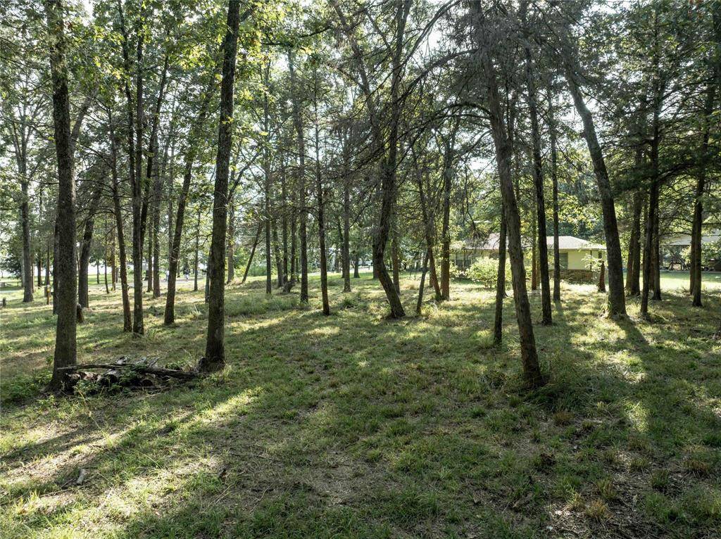 Murchison, TX 75778,tbd Callender Lake Drive