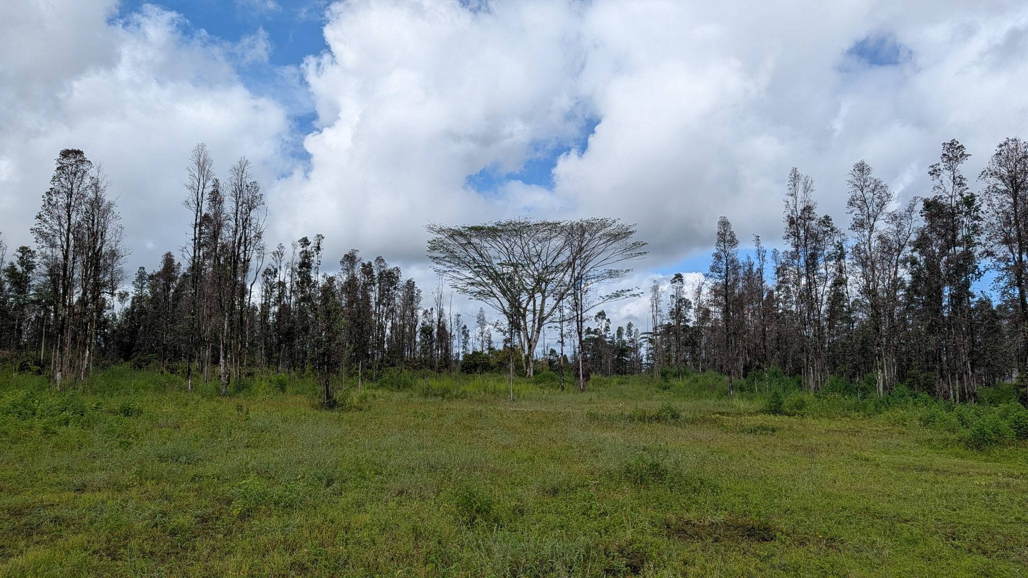 Keaau, HI 96749,16-730 AULII ST