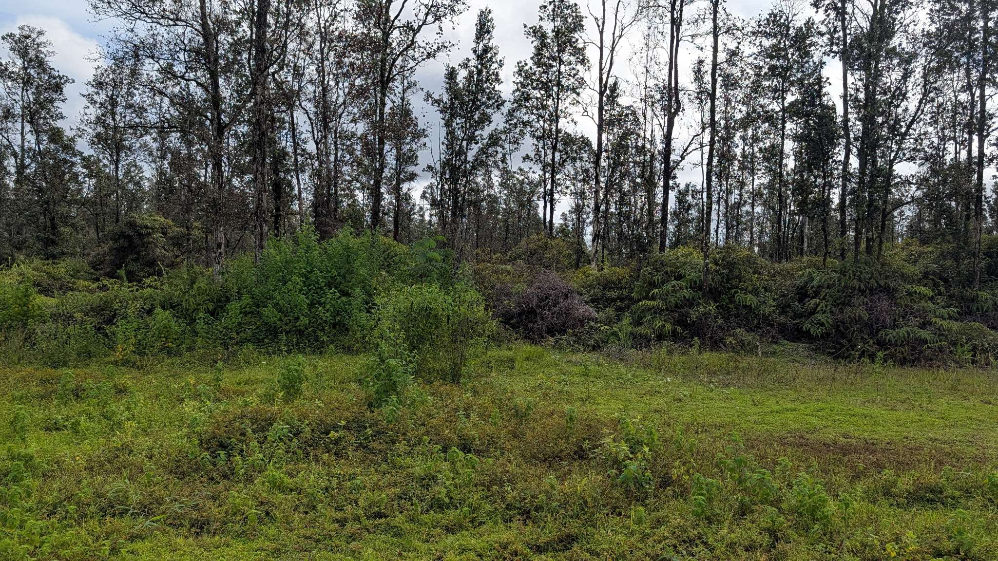 Keaau, HI 96749,16-730 AULII ST